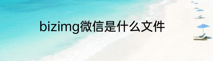bizimg微信是什么文件