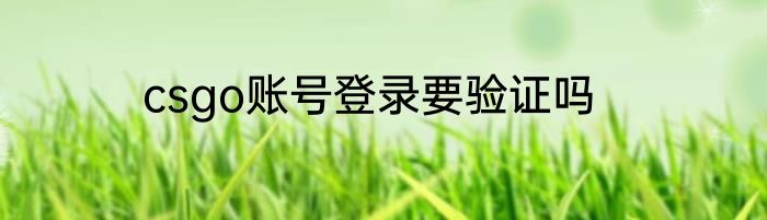 csgo账号登录要验证吗