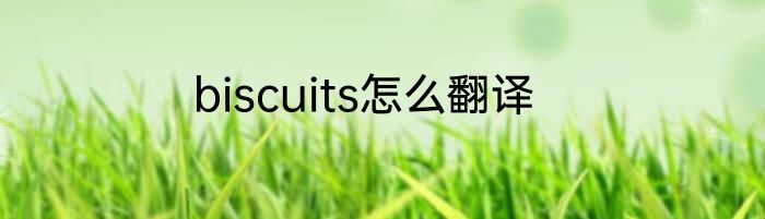 biscuits怎么翻译