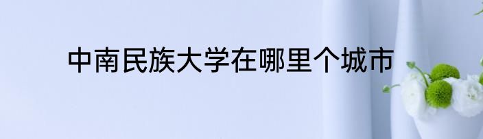 中南民族大学在哪里个城市