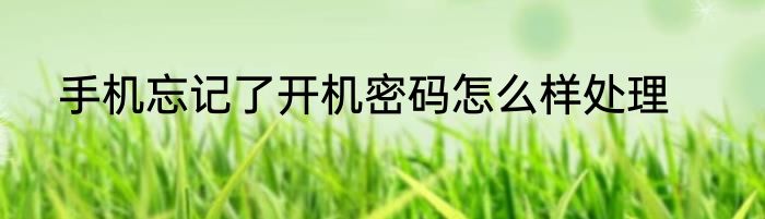 手机忘记了开机密码怎么样处理