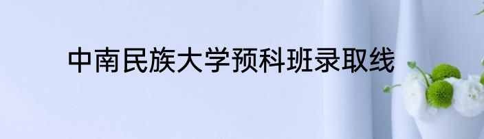 中南民族大学预科班录取线
