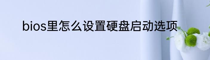 bios里怎么设置硬盘启动选项