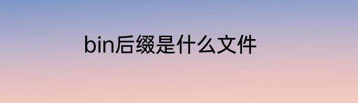 bin后缀是什么文件