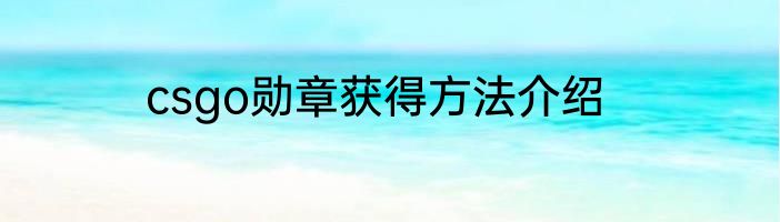 csgo勋章获得方法介绍