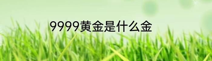 9999黄金是什么金