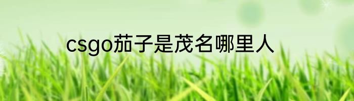 csgo茄子是茂名哪里人