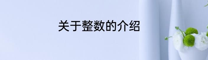 关于整数的介绍