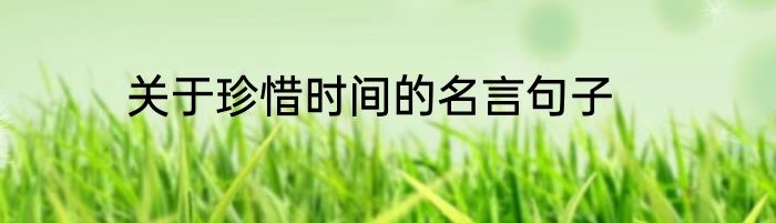 关于珍惜时间的名言句子