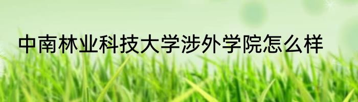 中南林业科技大学涉外学院怎么样