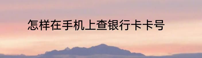 怎样在手机上查银行卡卡号