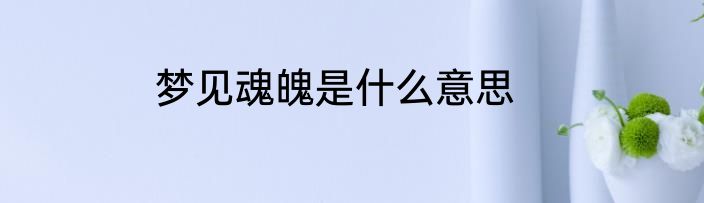 梦见魂魄是什么意思