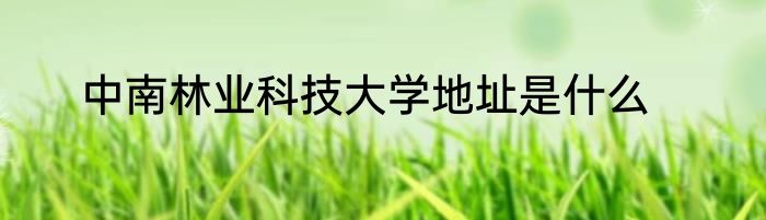中南林业科技大学地址是什么