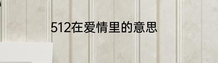 512在爱情里的意思