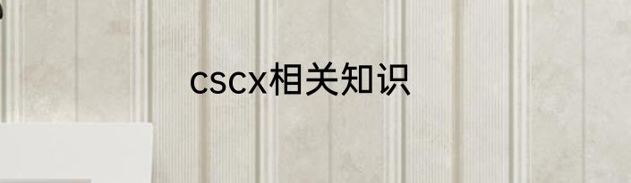 cscx相关知识