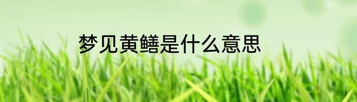 梦见黄鳝是什么意思