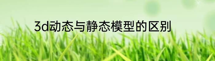 3d动态与静态模型的区别
