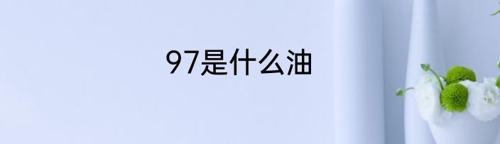 97是什么油