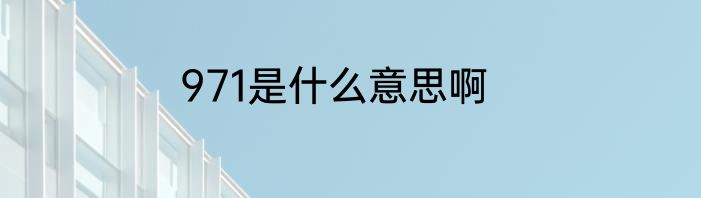 971是什么意思啊