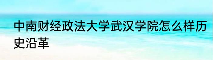 中南财经政法大学武汉学院怎么样历史沿革