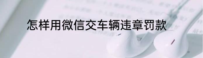 怎样用微信交车辆违章罚款