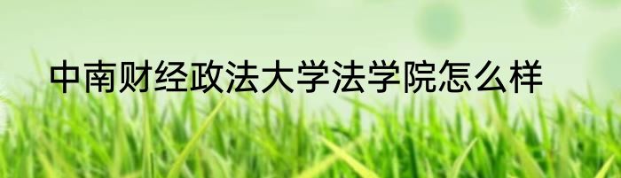 中南财经政法大学法学院怎么样