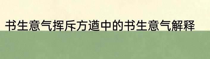 书生意气挥斥方遒中的书生意气解释