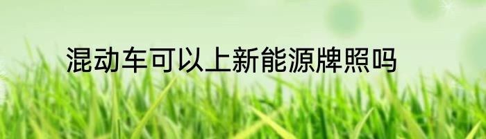 混动车可以上新能源牌照吗