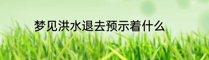 梦见洪水退去预示着什么