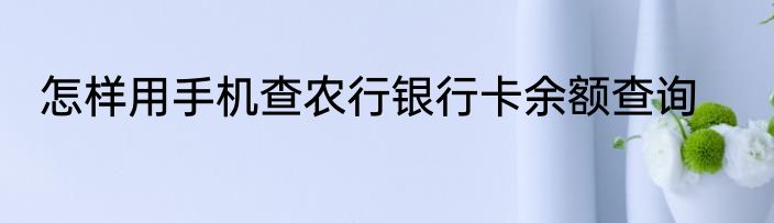 怎样用手机查农行银行卡余额查询