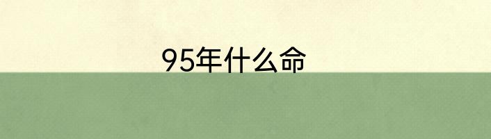 95年什么命