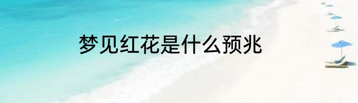 梦见红花是什么预兆