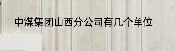 中煤集团山西分公司有几个单位