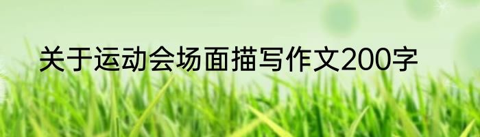 关于运动会场面描写作文200字