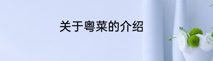 关于粤菜的介绍