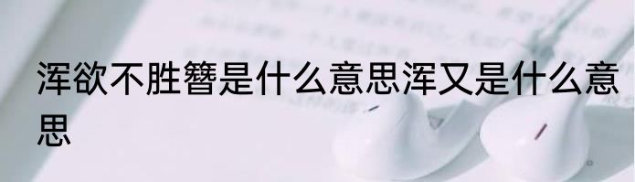 浑欲不胜簪是什么意思浑又是什么意思