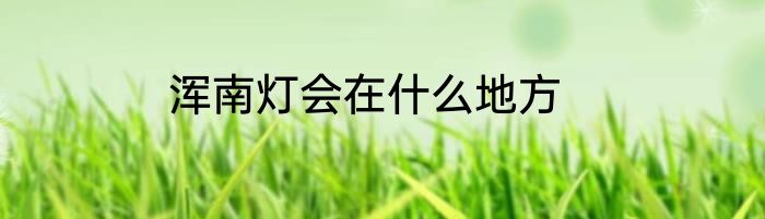 浑南灯会在什么地方