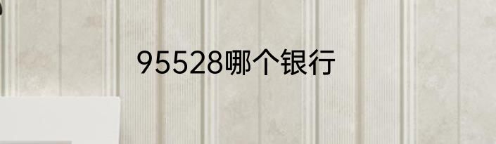 95530是什么航空公司