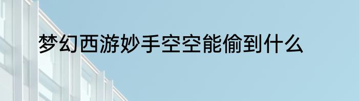 梦幻西游妙手空空能偷到什么