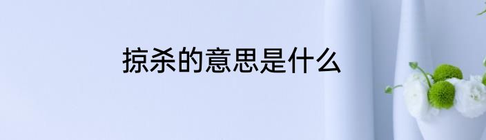 掠杀的意思是什么