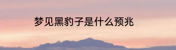 梦见黑豹子是什么预兆