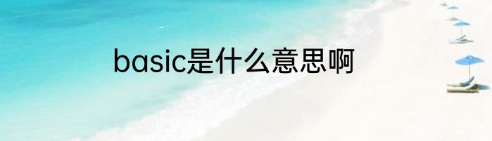 basic是什么意思啊