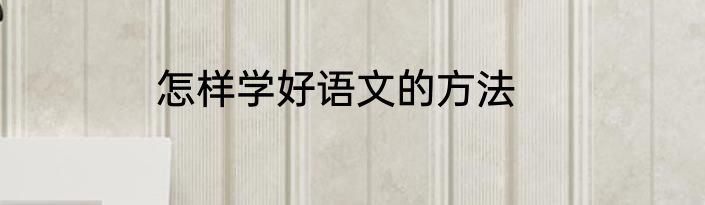 怎样学好语文的方法