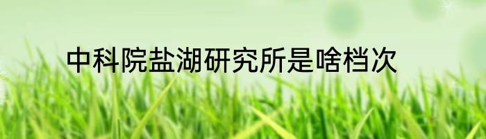 中科院盐湖研究所是啥档次