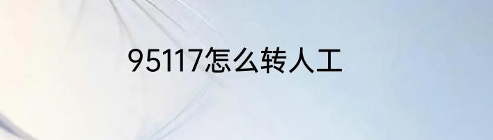 95117怎么转人工