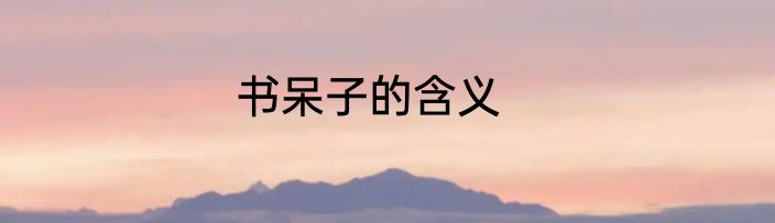书呆子的含义