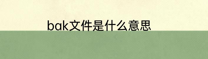 bak文件是什么意思