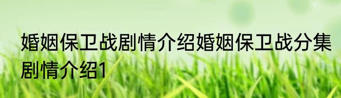 婚姻保卫战剧情介绍婚姻保卫战分集剧情介绍1