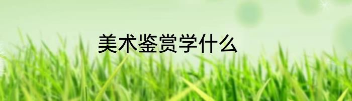 美术鉴赏学什么
