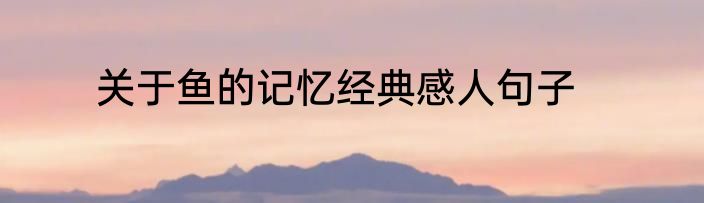 关于鱼的记忆经典感人句子